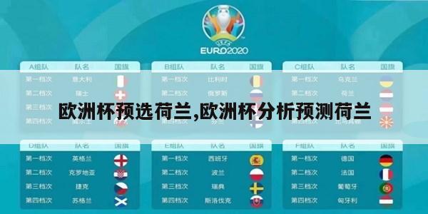 欧洲杯预选荷兰,欧洲杯分析预测荷兰