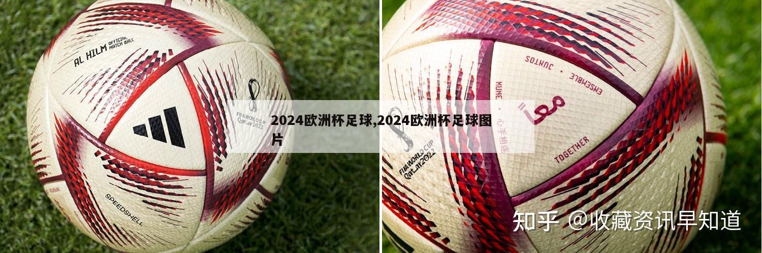 2024欧洲杯足球,2024欧洲杯足球图片