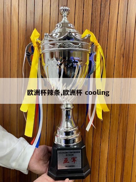 欧洲杯辣条,欧洲杯 cooling