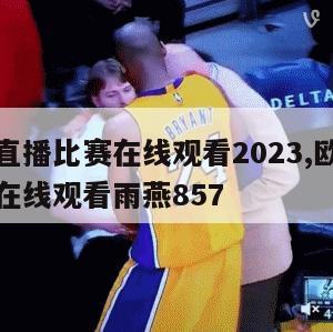 欧洲杯直播比赛在线观看2023,欧洲杯直播比赛在线观看雨燕857