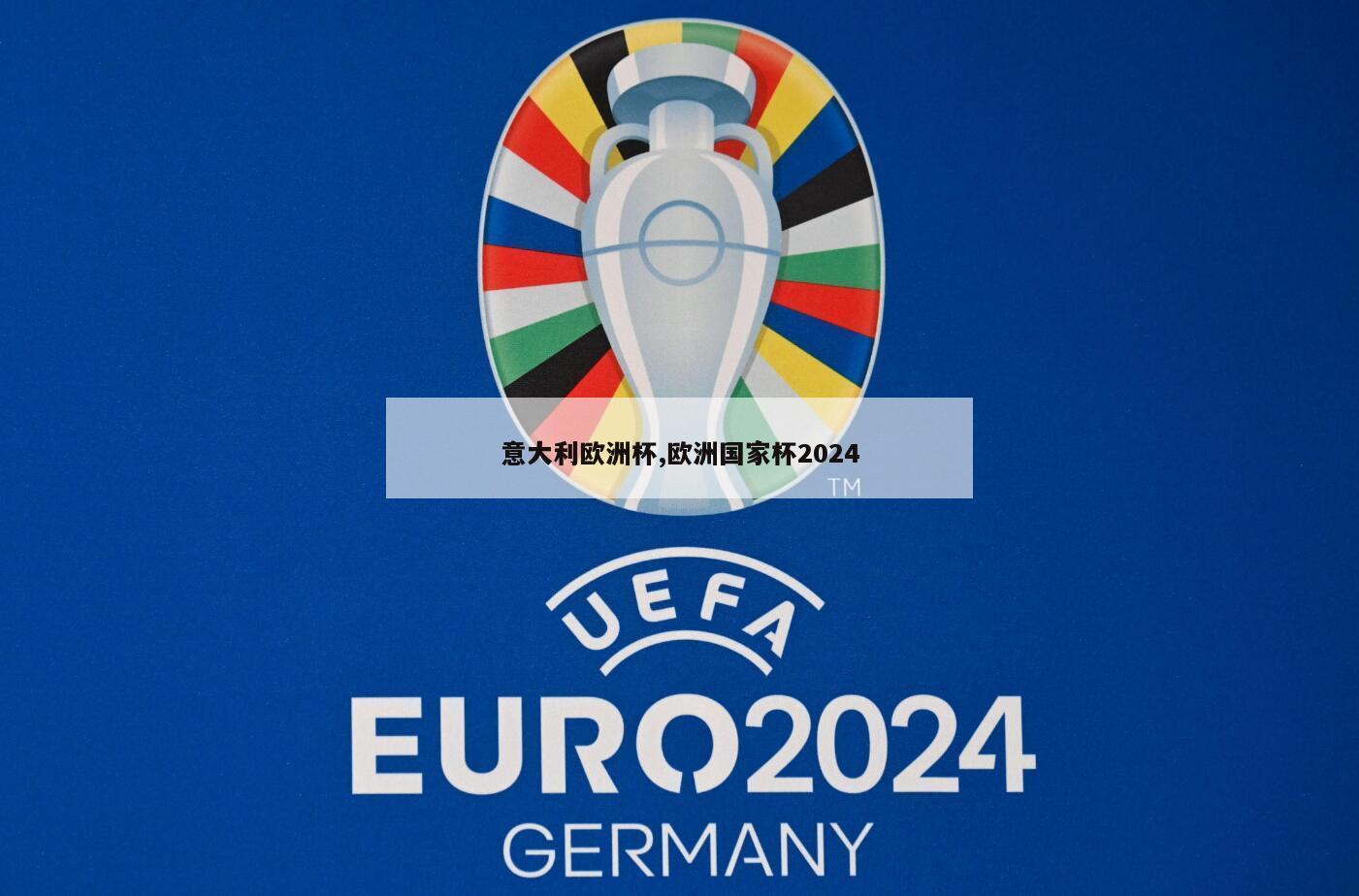 意大利欧洲杯,欧洲国家杯2024