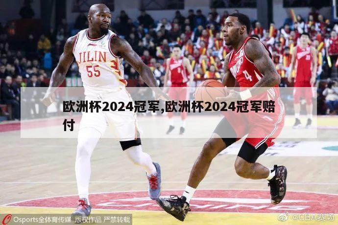 欧洲杯2024冠军,欧洲杯2024冠军赔付